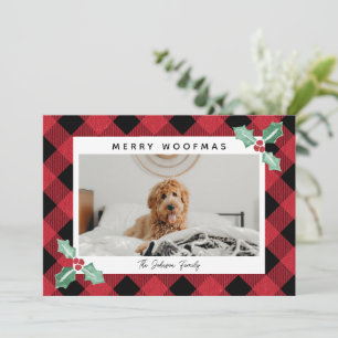 Plaid Frame Holly Corners Pet Photo Holiday Card
