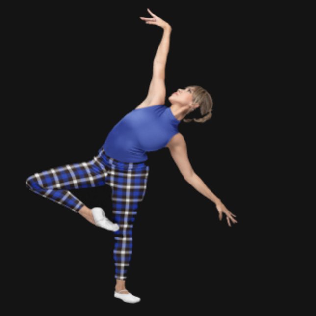 Plaid Leggings (Creator Uploaded)