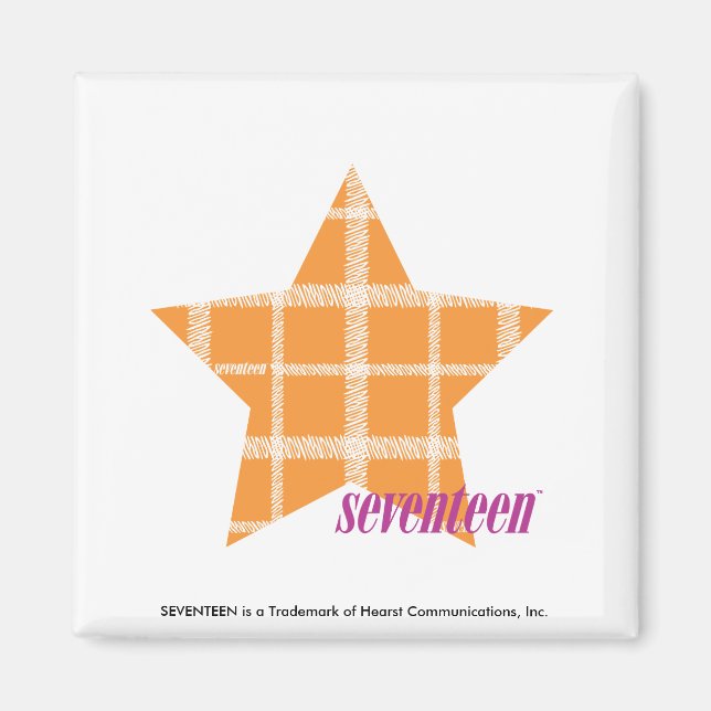 Plaid Orange 2 Magnet (Front)