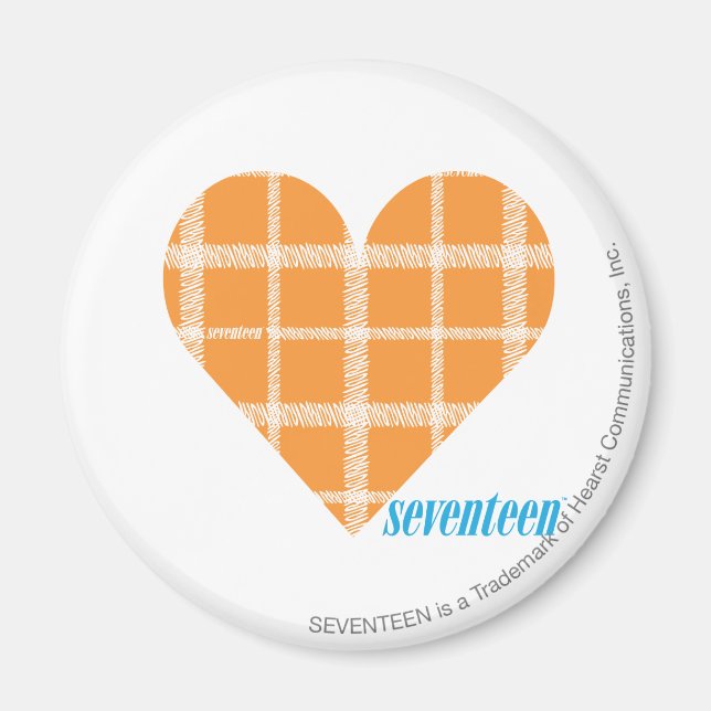 Plaid Orange 4 Magnet (Front)
