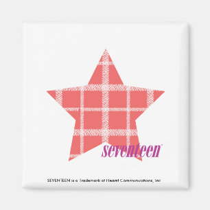Plaid Pink 3 Magnet