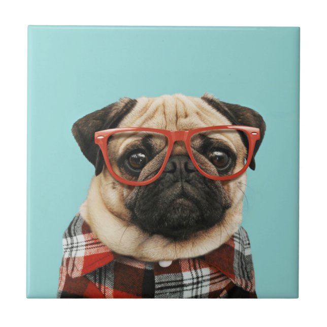 Plaid Shirt Pug Tile (Front)