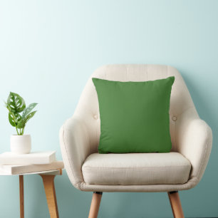 Plain Grass Green Complementary  Cushion