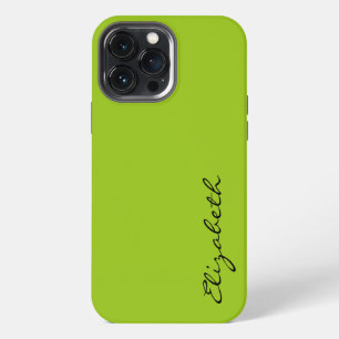 Plain Green Background iPhone 13 Pro Max Case