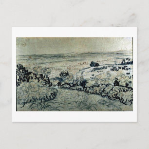 Plain of La Crau Van Gogh Fine Art Postcard