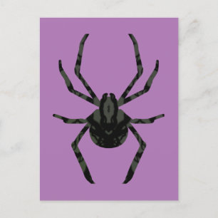 Plain Old Spider Postcard