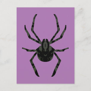 Plain Old Spider Postcard