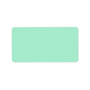 Plain solid colour mint green background blank label