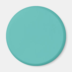 Plain solid eucalyptus pastel turquoise magnet