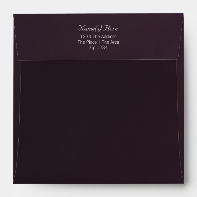 Plain With Return Address Envelope (Back (Top Flap))