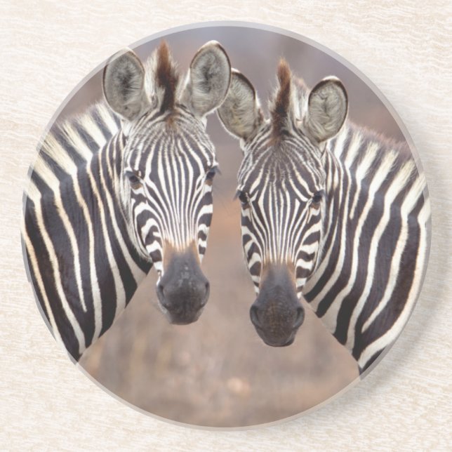 Plain Zebras, Kruger National Park Coaster (Front)