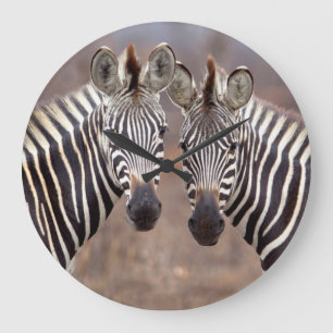 Plain Zebras, Kruger National Park Large Clock