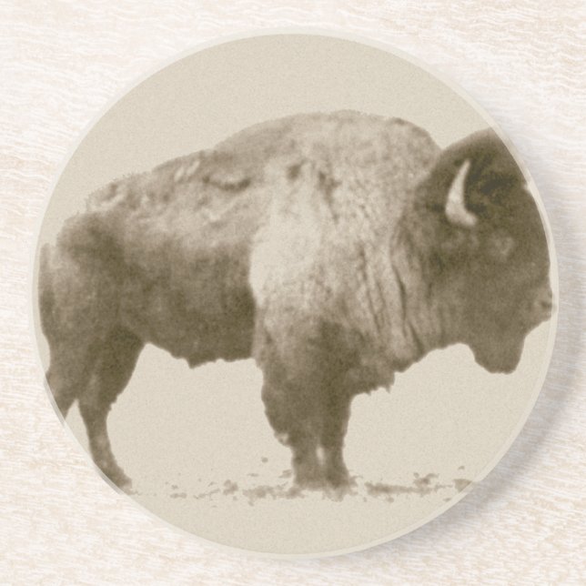 Plains Bison Coaster (Front)
