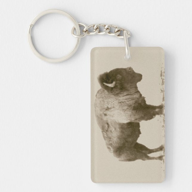 Plains Bison Key Ring (Front)