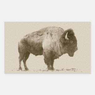 Plains Bison Rectangular Sticker