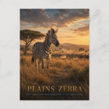 Plains Zebra East African Savanna ANIMALS