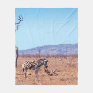 Plains zebra in Kruger National park, South Africa Fleece Blanket
