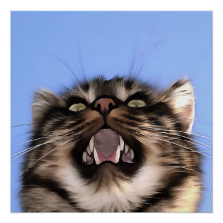 Plaintive Meow Of A Tabby Cat Acrylic Painting  Poster