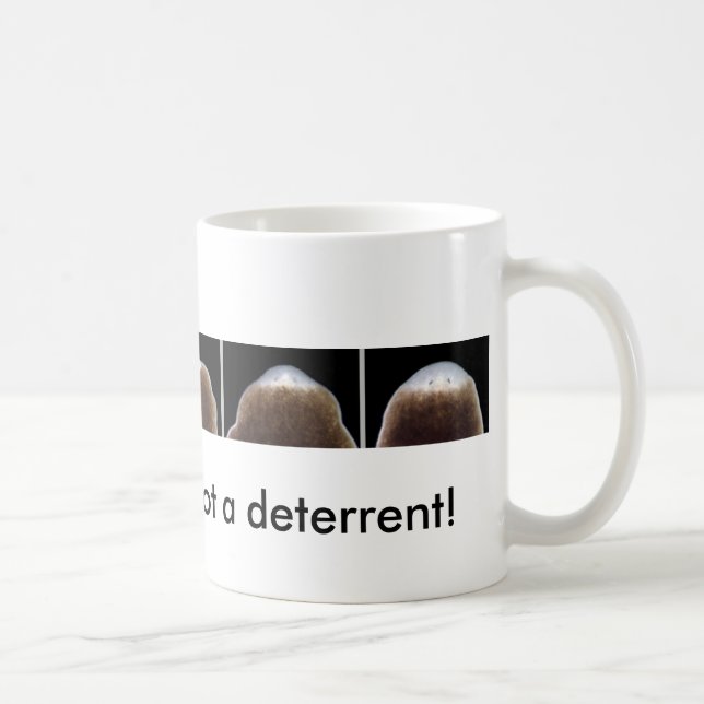 Planarian Regeneration Coffee Mug (Right)