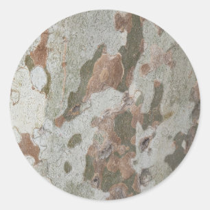 Plane tree camouflage looks bark pattern classic r round sticker