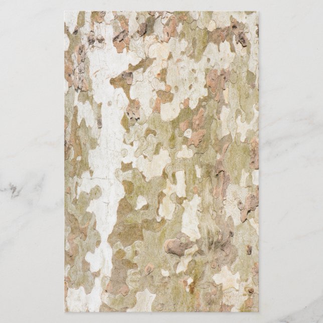 Plane tree camouflage looks bark pattern flyer (Front)