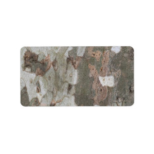 Plane tree camouflage looks bark pattern label
