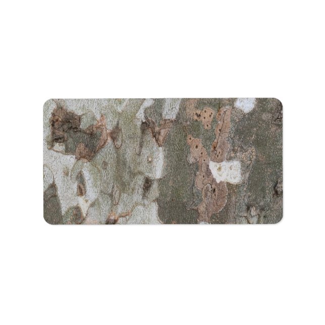 Plane tree camouflage looks bark pattern label (Front)