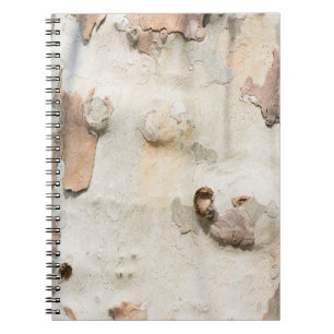 Plane tree camouflage looks bark pattern notebook