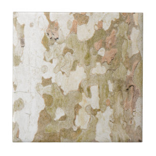 Plane tree camouflage looks bark pattern tile