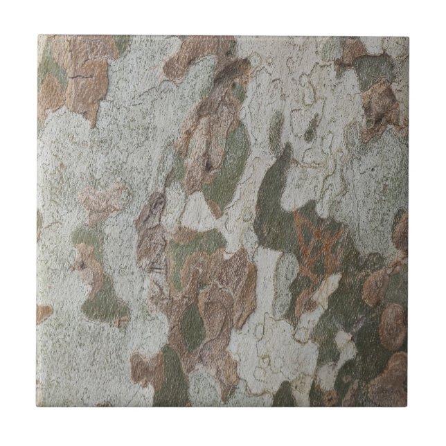 Plane tree camouflage looks bark pattern tile (Front)