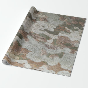 Plane tree camouflage looks bark pattern wrapping paper