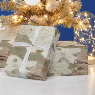 Plane tree camouflage looks bark pattern wrapping paper