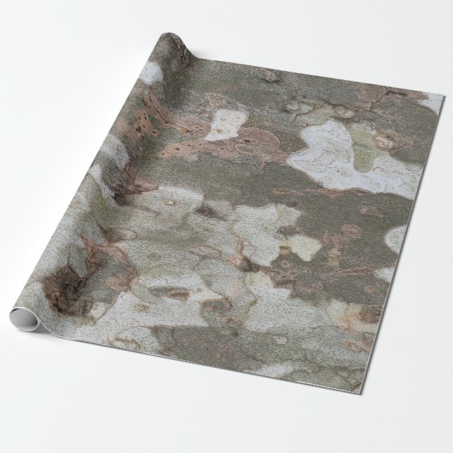 Plane tree camouflage looks bark pattern wrapping  paper (Unrolled)