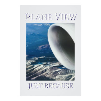 Plane View   Photo Print