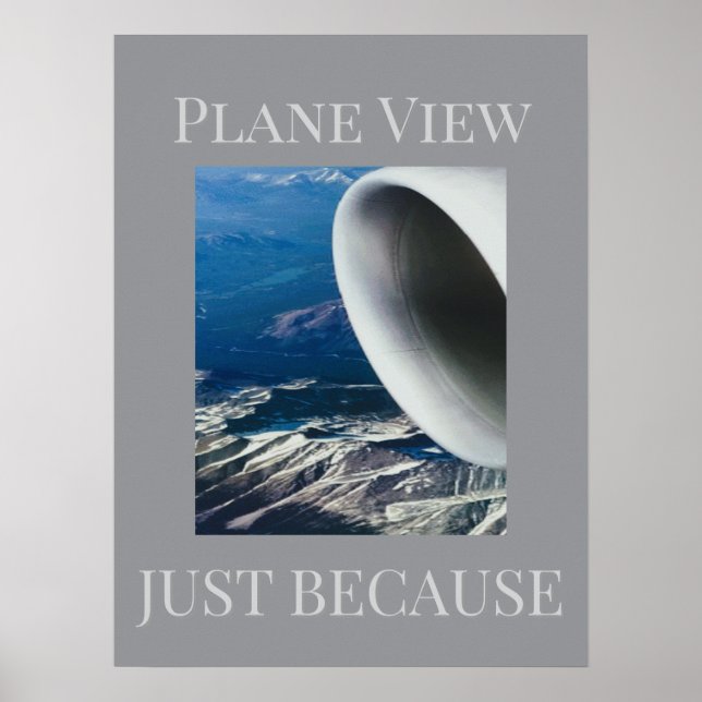Plane View    Poster (Front)