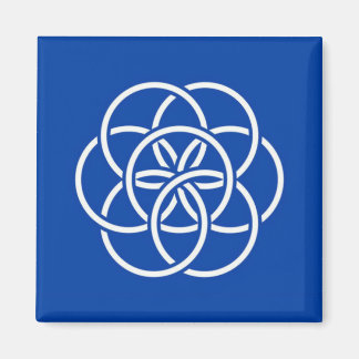 Planet earth flag magnet