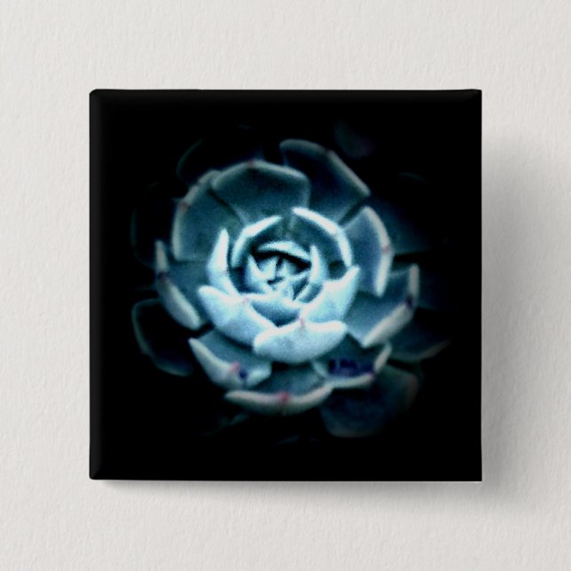 Planet Echeveria 2 Button (Front)