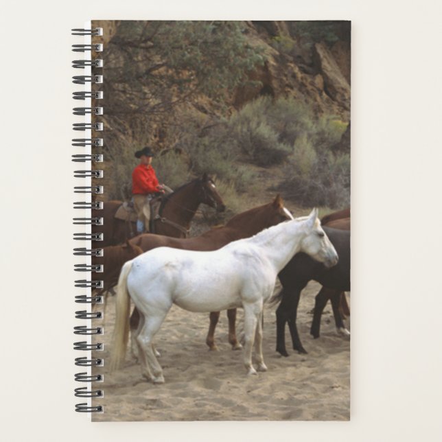 Planner Horse Photo Equine Cowboy Herd (Front)