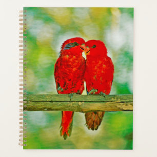 Planner love birds