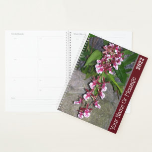Planner - Tolumnia Jairak Rainbow Orchid