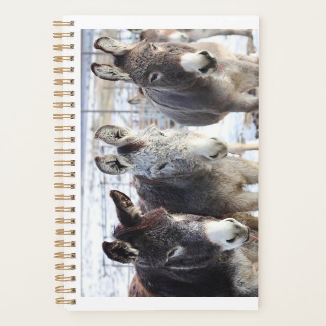 Planner wild burros (Front)
