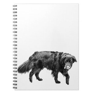 Plans After Snack Time Notebook
