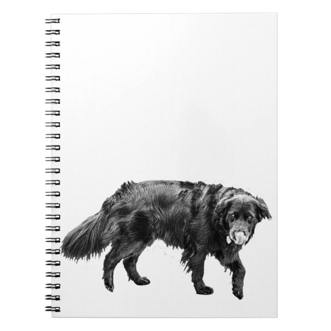 Plans After Snack Time Notebook (Front)