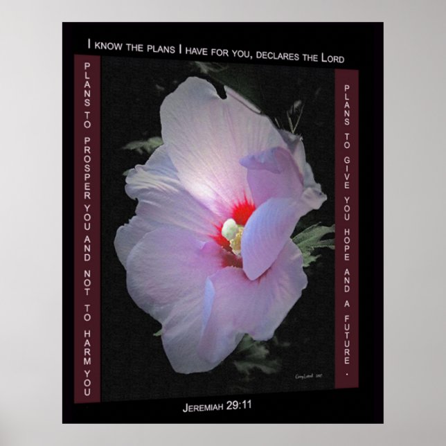 Plans Poster (Front)