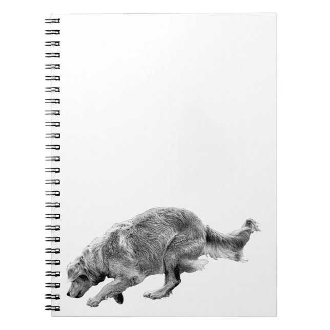 Plans with a Running Golden Notebook (Front)