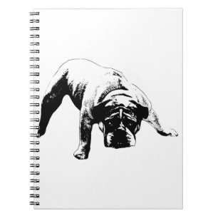 Plans With Backbone Notebook