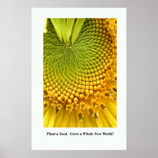 Plant a Seed. Grow a Whole New World! Poster 24x36 (Front)