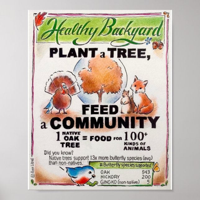 Plant a Tree Educational Poster (Front)