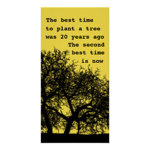 Plant a tree, it's not too late poster