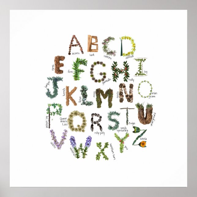Plant Alphabet Nature Nursery Botanical ABC  Poster (Front)